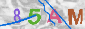 CAPTCHA afbeelding
