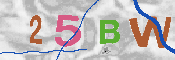 CAPTCHA afbeelding