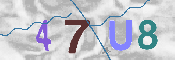 CAPTCHA afbeelding