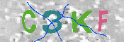 CAPTCHA afbeelding