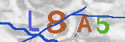 CAPTCHA afbeelding