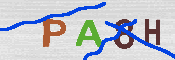 CAPTCHA afbeelding