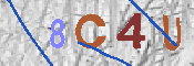 CAPTCHA afbeelding