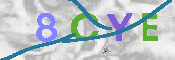 CAPTCHA afbeelding