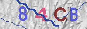 CAPTCHA afbeelding