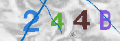 CAPTCHA afbeelding