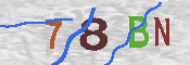CAPTCHA afbeelding
