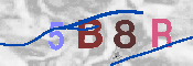 CAPTCHA afbeelding