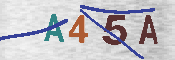 CAPTCHA afbeelding