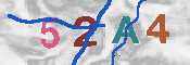 CAPTCHA afbeelding