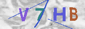 CAPTCHA afbeelding