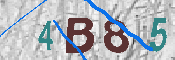 CAPTCHA afbeelding