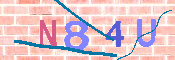 CAPTCHA afbeelding