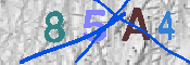 CAPTCHA afbeelding