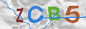 CAPTCHA afbeelding
