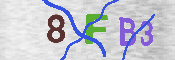 CAPTCHA afbeelding