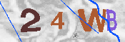 CAPTCHA afbeelding