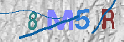 CAPTCHA afbeelding