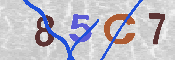 CAPTCHA afbeelding