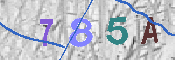 CAPTCHA afbeelding