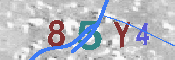 CAPTCHA afbeelding