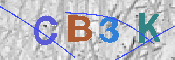 CAPTCHA afbeelding