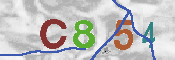 CAPTCHA afbeelding