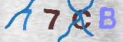 CAPTCHA afbeelding