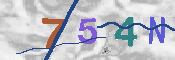 CAPTCHA afbeelding