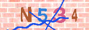 CAPTCHA afbeelding