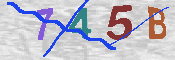 CAPTCHA afbeelding