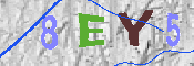 CAPTCHA afbeelding
