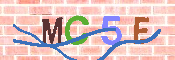 CAPTCHA afbeelding