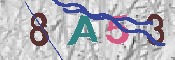 CAPTCHA afbeelding