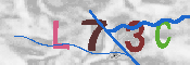 CAPTCHA afbeelding