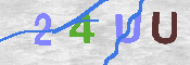 CAPTCHA afbeelding