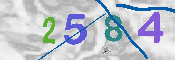 CAPTCHA afbeelding