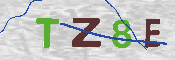 CAPTCHA afbeelding