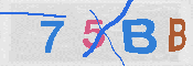 CAPTCHA afbeelding