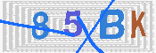 CAPTCHA afbeelding