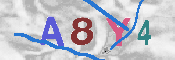 CAPTCHA afbeelding