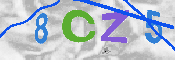 CAPTCHA afbeelding