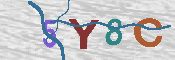 CAPTCHA afbeelding
