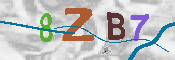 CAPTCHA afbeelding