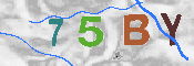CAPTCHA afbeelding