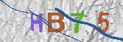 CAPTCHA afbeelding