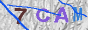 CAPTCHA afbeelding