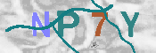 CAPTCHA afbeelding