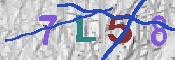 CAPTCHA afbeelding