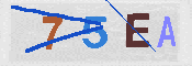 CAPTCHA afbeelding